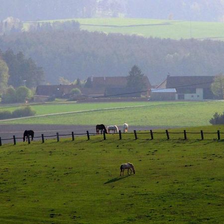 Appartamento Haus Hollerbusch Neunburg vorm Wald Esterno foto