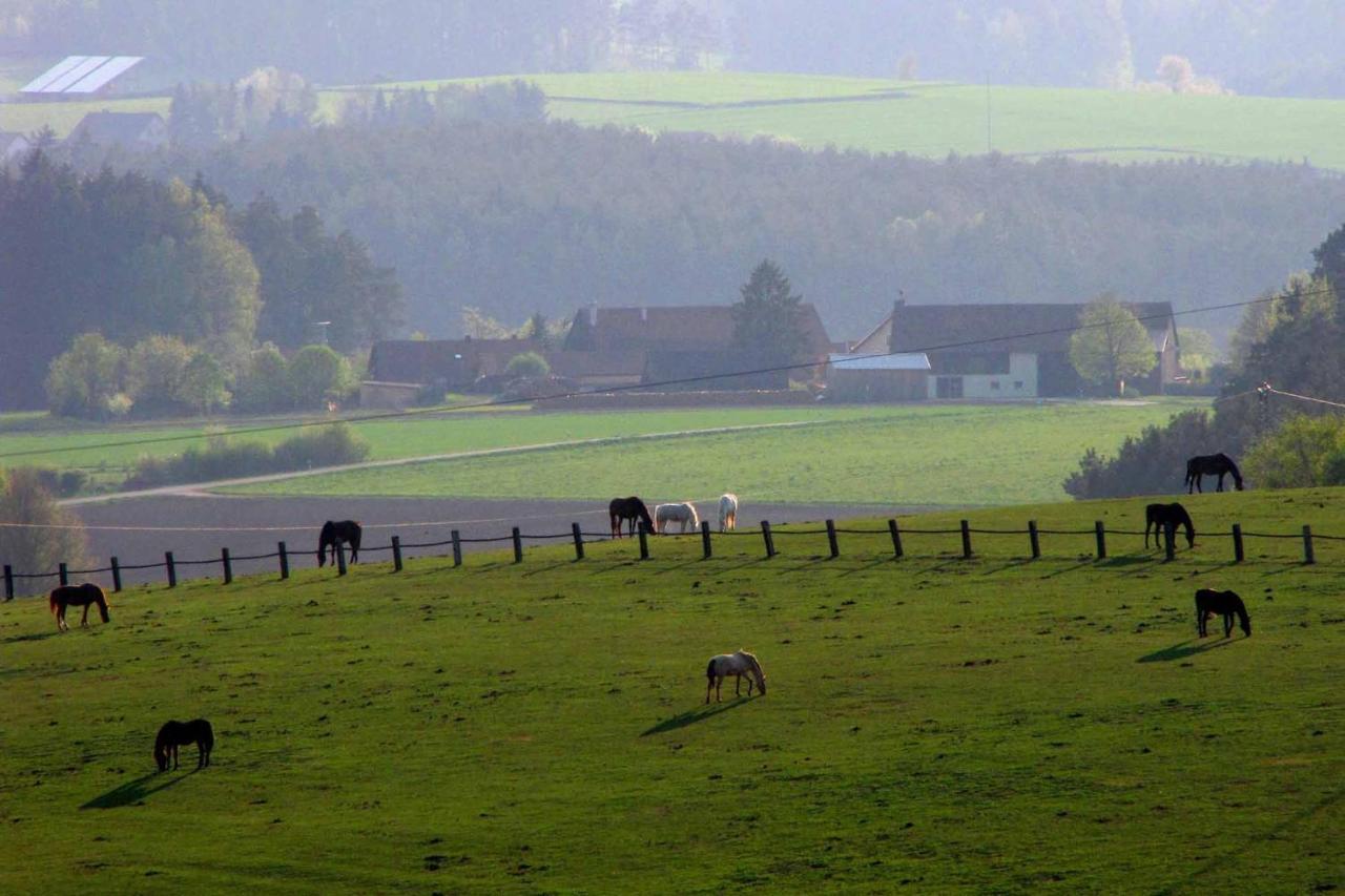 Appartamento Haus Hollerbusch Neunburg vorm Wald Esterno foto