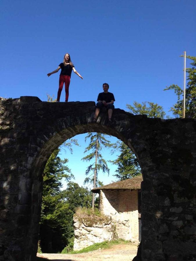 Appartamento Haus Hollerbusch Neunburg vorm Wald Esterno foto
