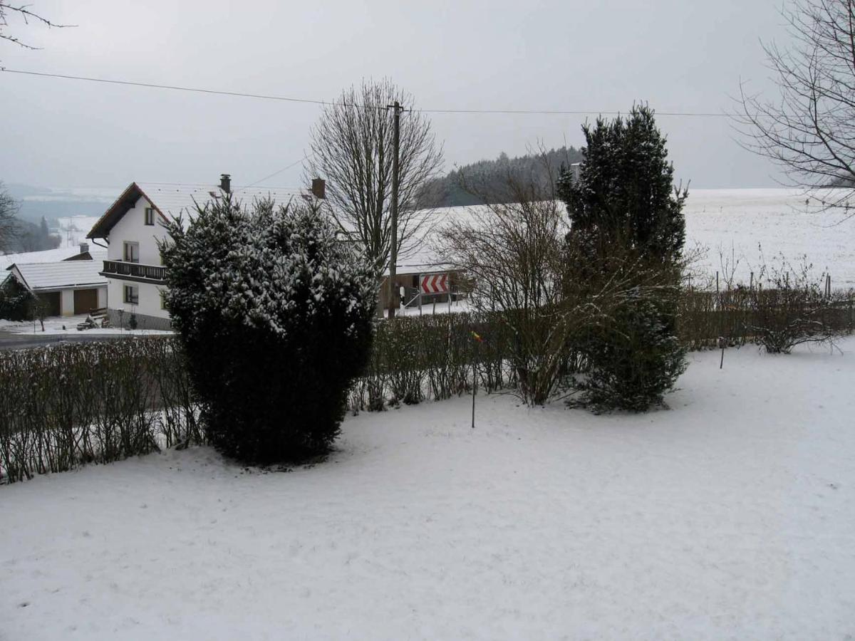 Appartamento Haus Hollerbusch Neunburg vorm Wald Esterno foto