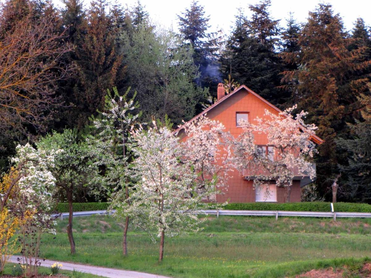 Appartamento Haus Hollerbusch Neunburg vorm Wald Esterno foto