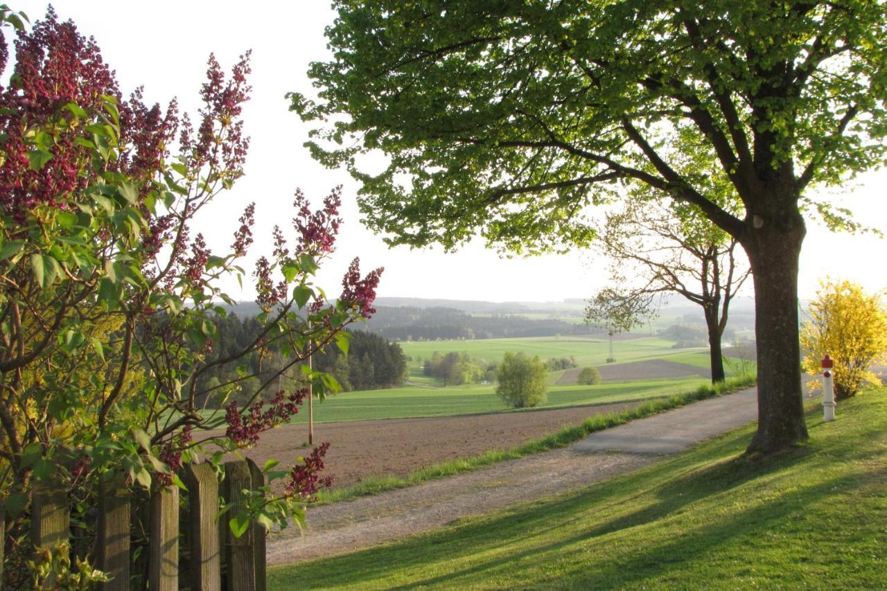 Appartamento Haus Hollerbusch Neunburg vorm Wald Esterno foto
