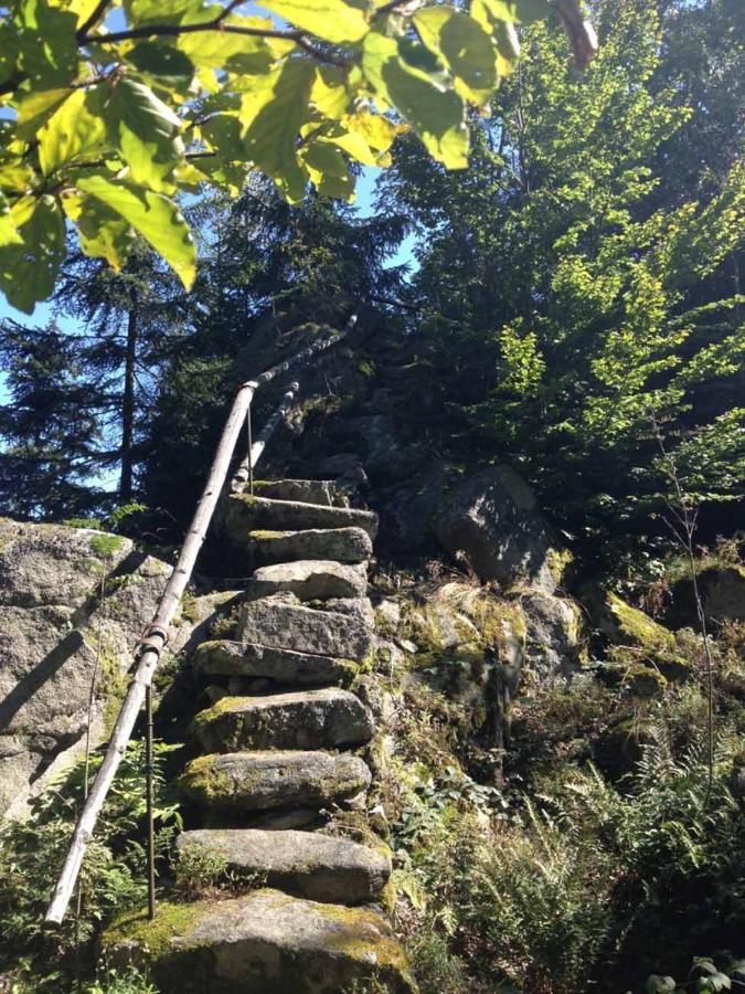 Appartamento Haus Hollerbusch Neunburg vorm Wald Esterno foto