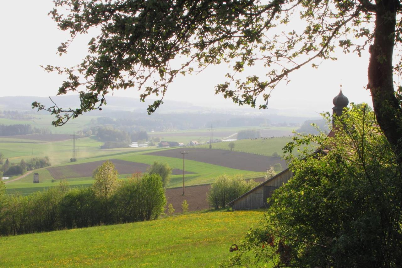 Appartamento Haus Hollerbusch Neunburg vorm Wald Esterno foto